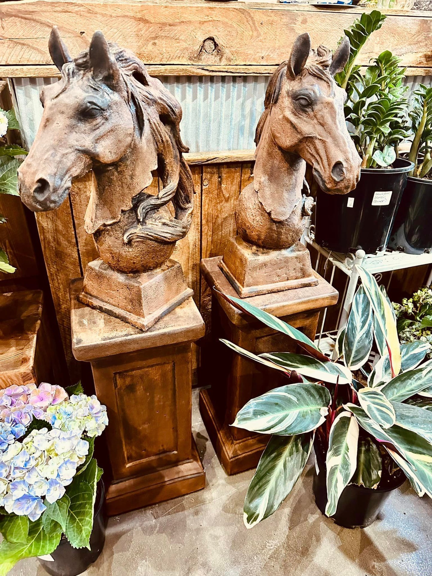 Rust coloured concrete Horse Heads and Pedestals - Art of Equestrian
