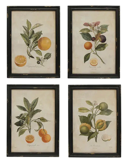 Set of 4 Botanical Wall Art