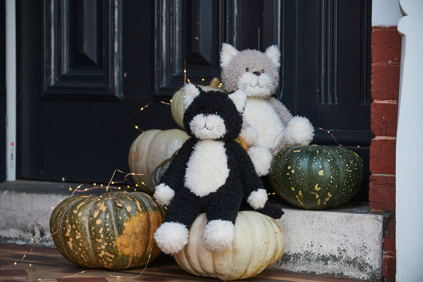 NANA HUCHY - Checkers the Cat - Black