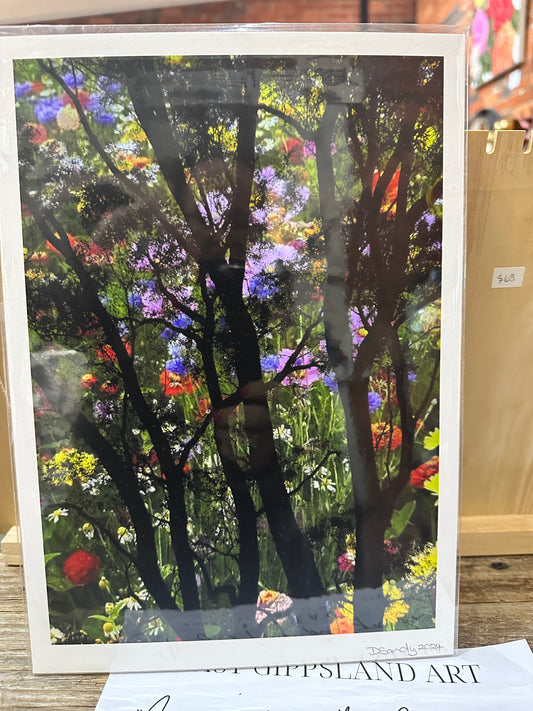 "Images from the Garden" - East Gippsland Art - Photolayering by Doris Sandy