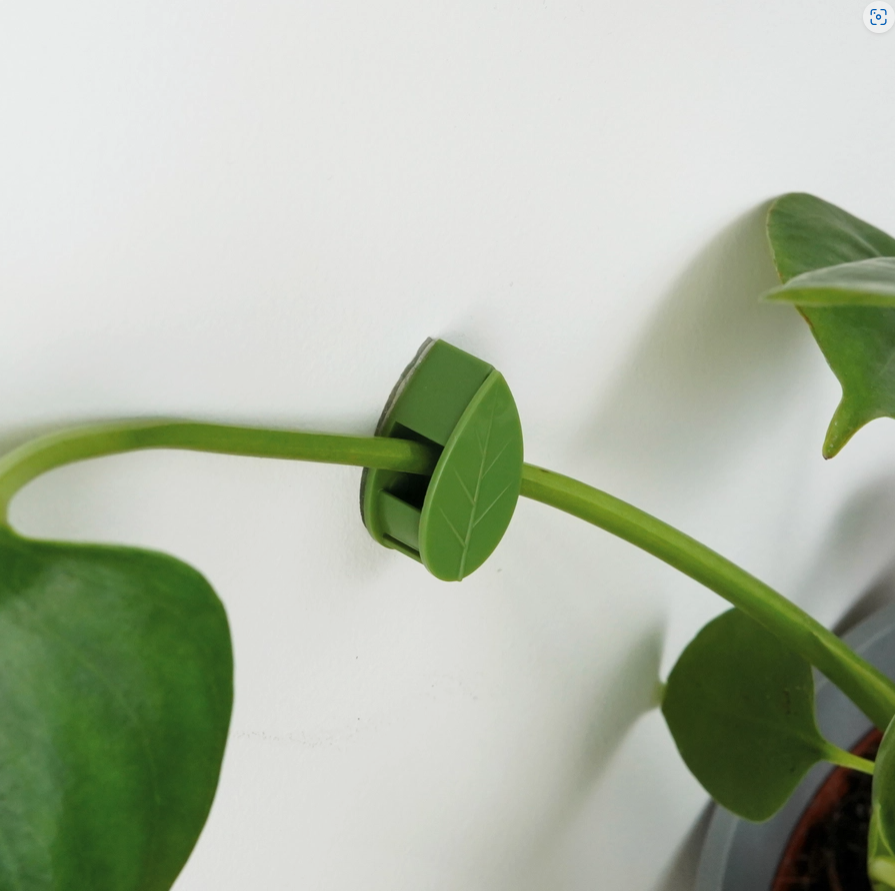 Plant climbing clips (indoor)