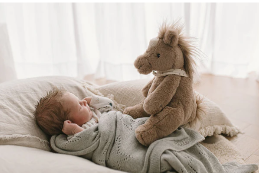 NANA HUCHY - Harvey the Horse