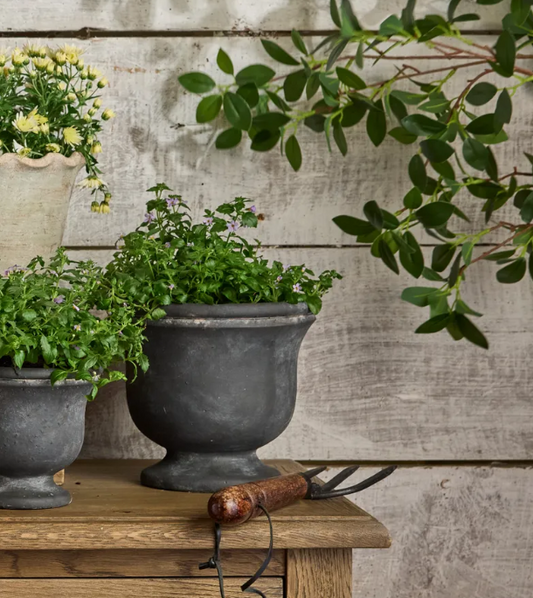 French Country Collections - Georgio Planter (Large)