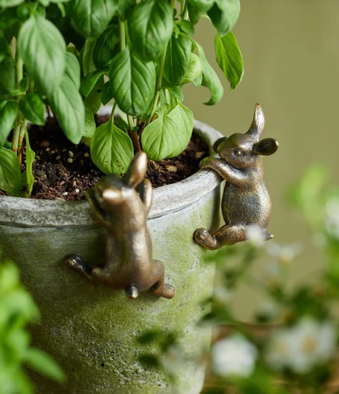 Hanging Bunny - assorted colours