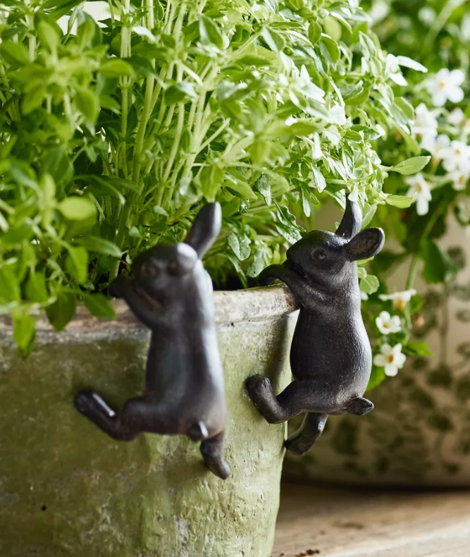 Hanging Bunny - assorted colours