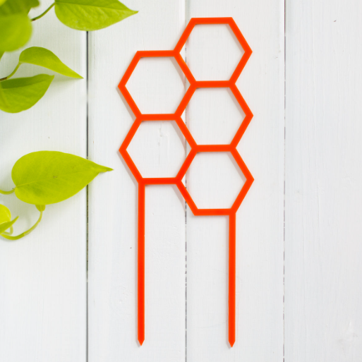 Honeys Plant Climbers - Hex - Coloured Trellis
