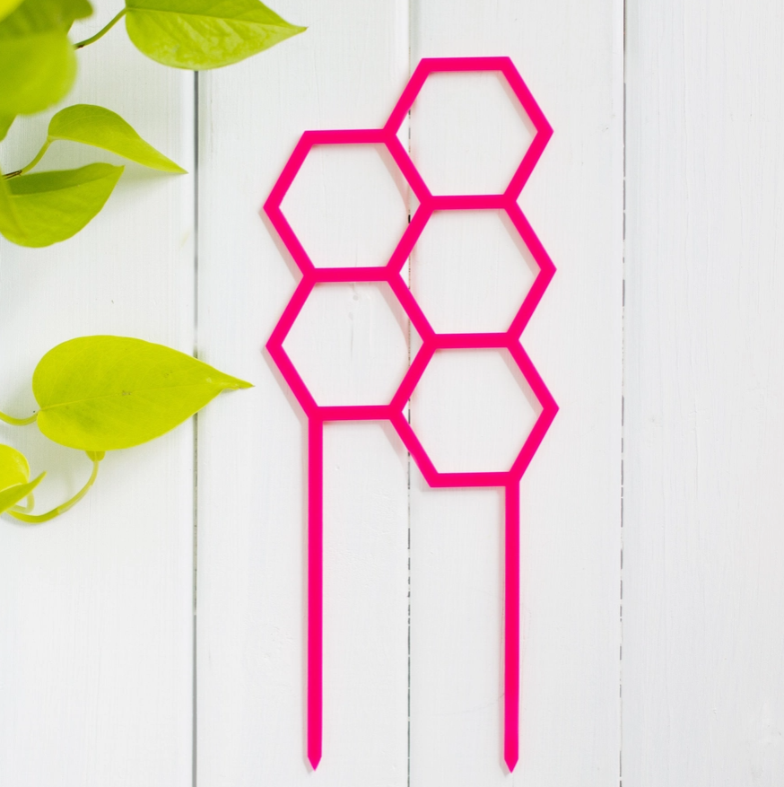 Honeys Plant Climbers - Hex - Coloured Trellis