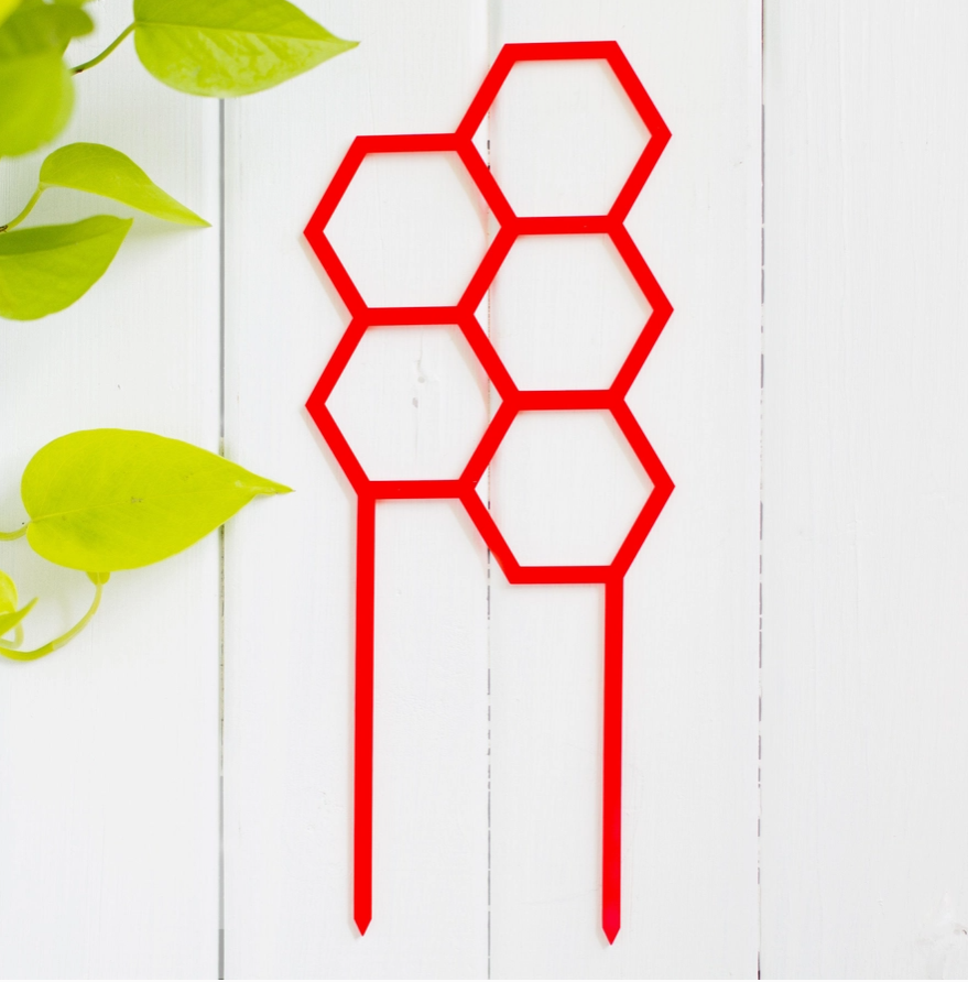 Honeys Plant Climbers - Hex - Coloured Trellis